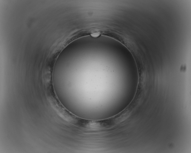 X0000115640413200911101521