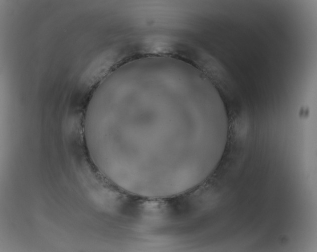 X0000115640415200911101521