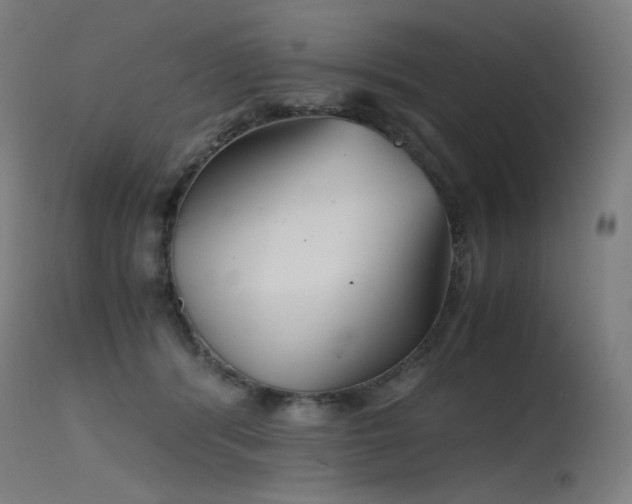 X0000115640416200911101521