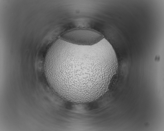 X0000115640417200911101521