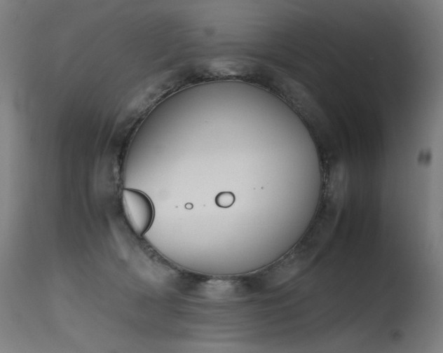 X0000115640418200911101520