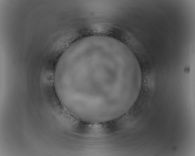 X0000115640419200911101520