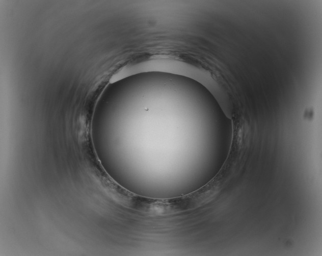 X0000115640420200911101520