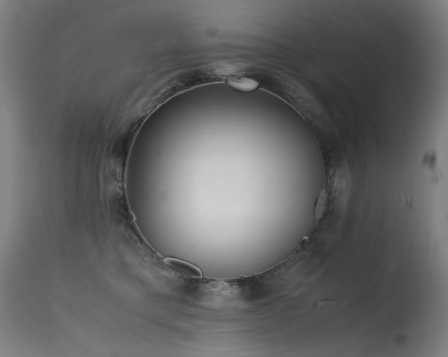 X0000115640421200911101520