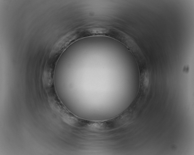 X0000115640422200911101520