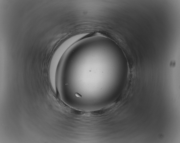 X0000115640423200911101520