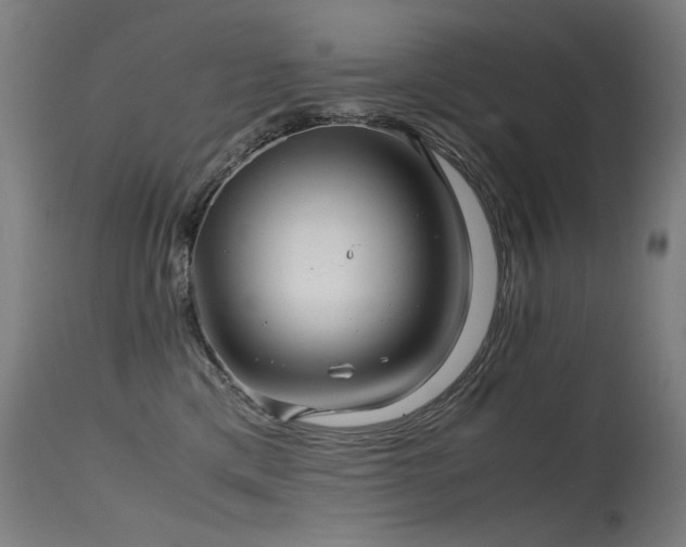 X0000115640425200911101520