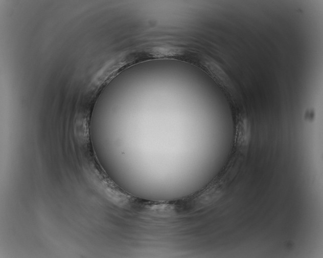 X0000115640426200911101520
