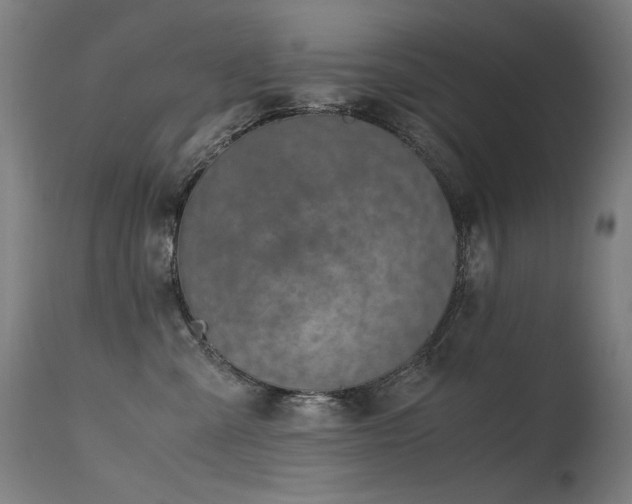 X0000115640427200911101520