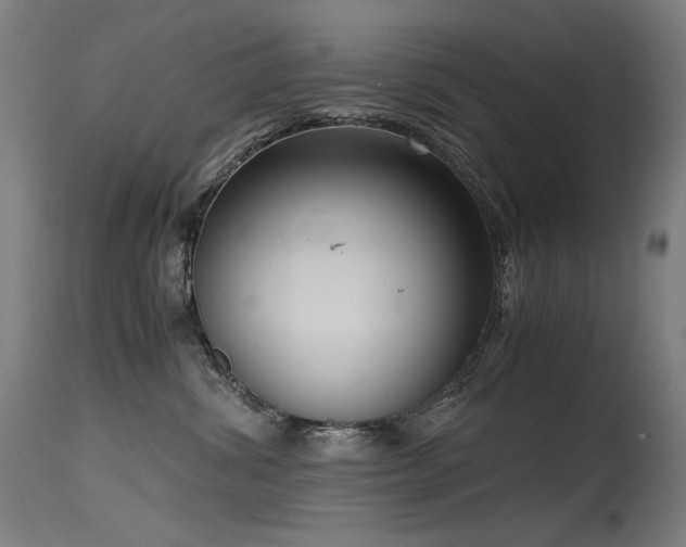 X0000115640428200911101520