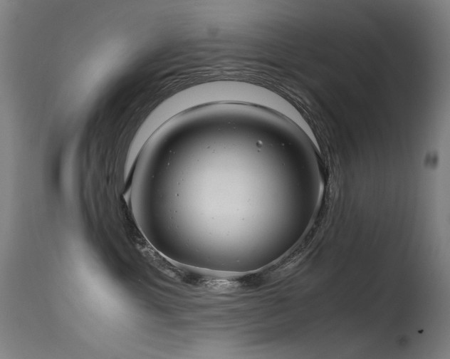 X0000115640429200911101520
