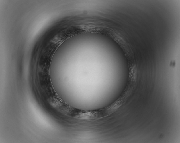 X0000115640430200911101520