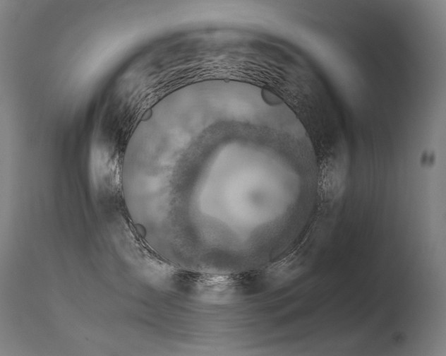 X0000115640431200911101520