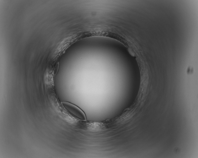 X0000115640432200911101520