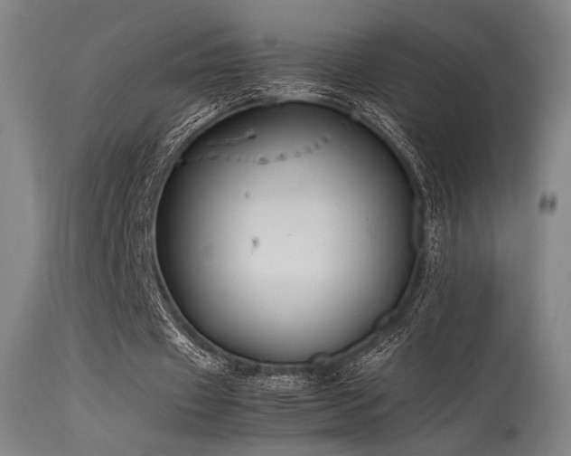 X0000115640433200911101520