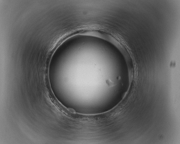 X0000115640434200911101520