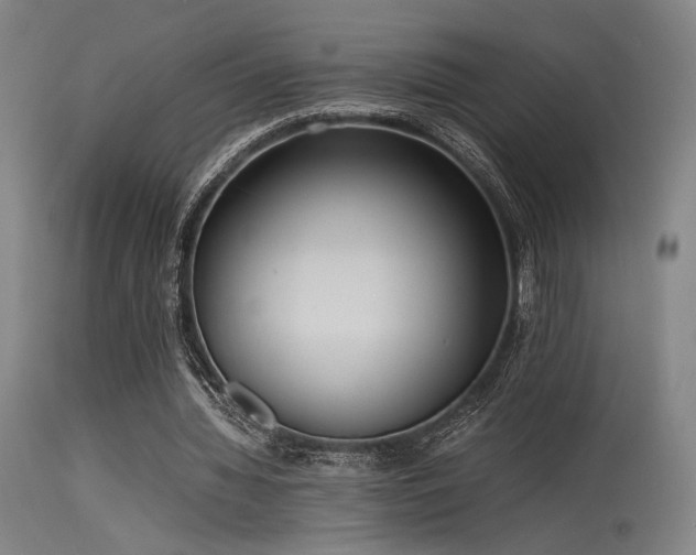 X0000115640436200911101520
