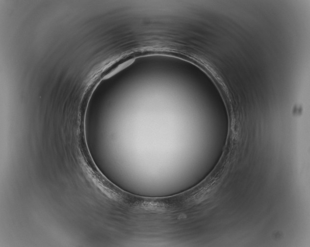 X0000115640437200911101520