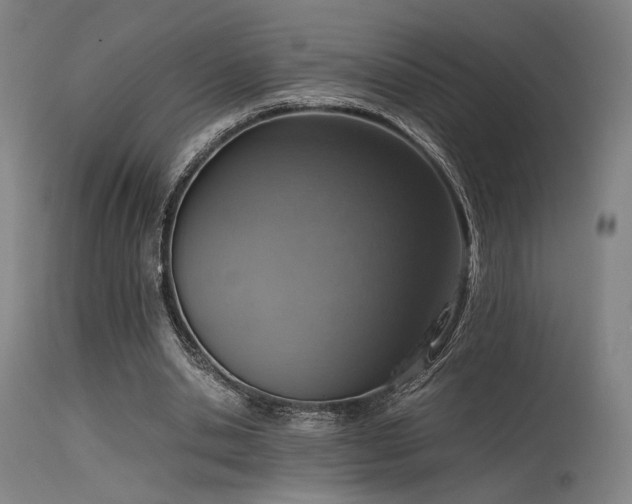 X0000115640438200911101520