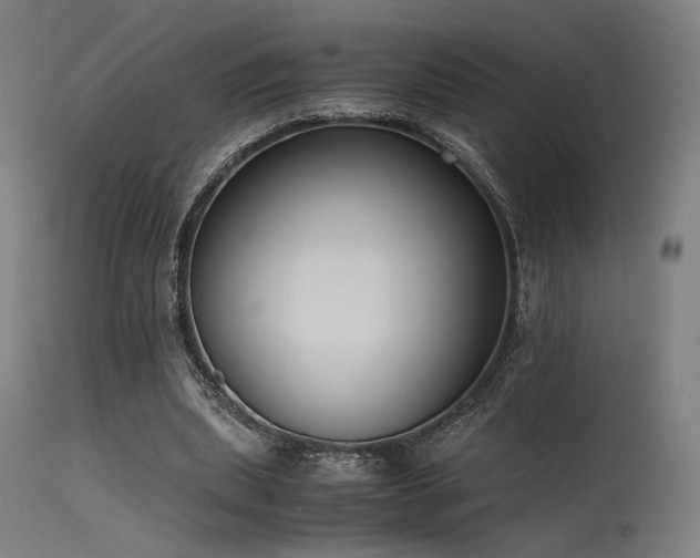 X0000115640439200911101520