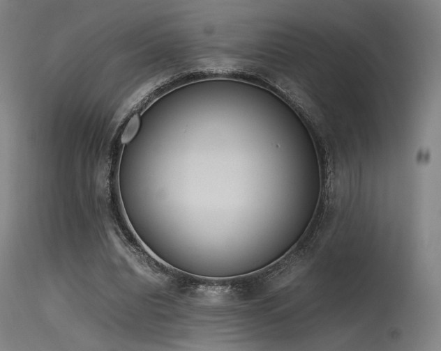 X0000115640440200911101520