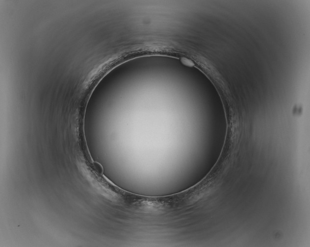 X0000115640442200911101520