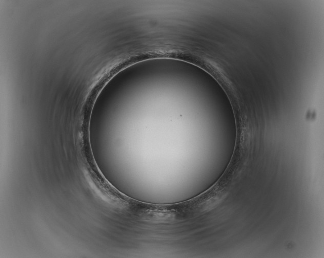 X0000115640443200911101520