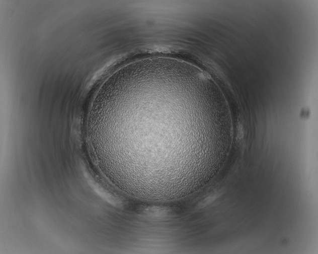 X0000115640444200911101520