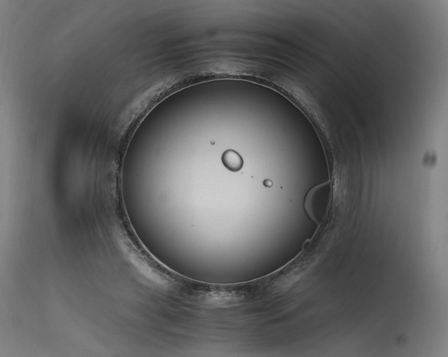 X0000115640445200911101520