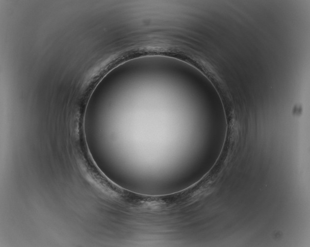 X0000115640446200911101520