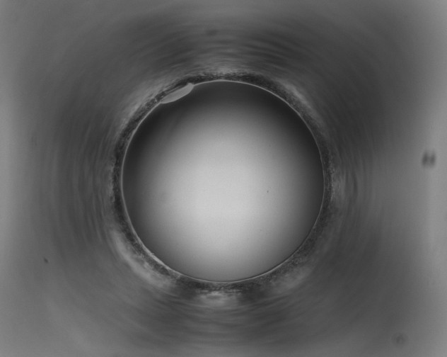 X0000115640447200911101520