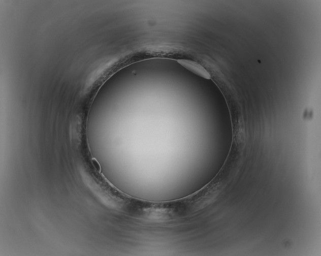 X0000115640448200911101520