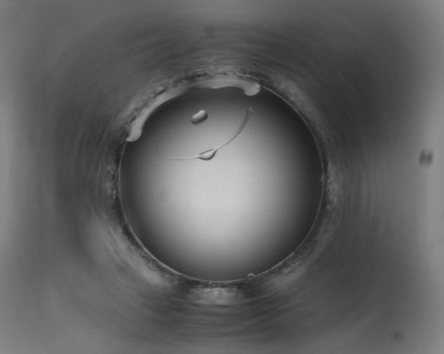 X0000115640449200911101520