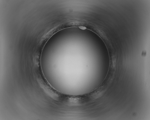 X0000115640450200911101520