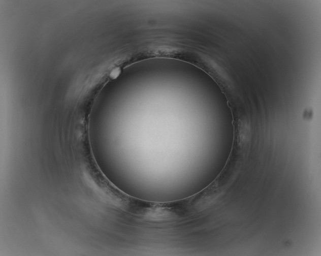 X0000115640451200911101520