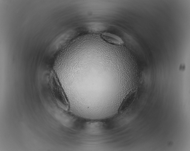X0000115640452200911101520