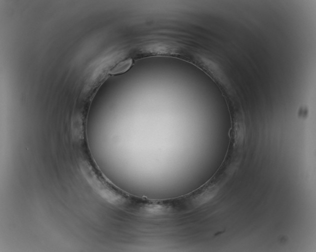 X0000115640453200911101520