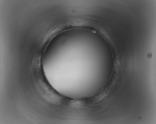 X0000115640454200911101520