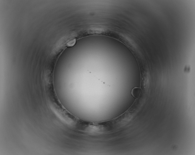 X0000115640455200911101520