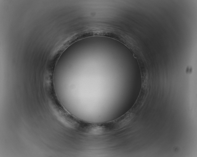 X0000115640456200911101520