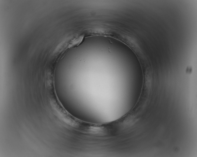 X0000115640457200911101520