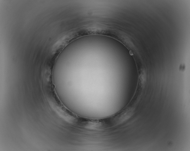 X0000115640458200911101520