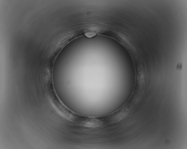X0000115640459200911101520