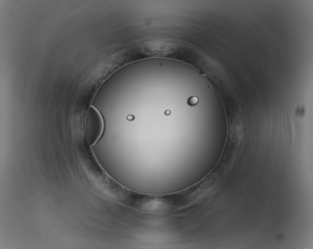 X0000115640460200911101520