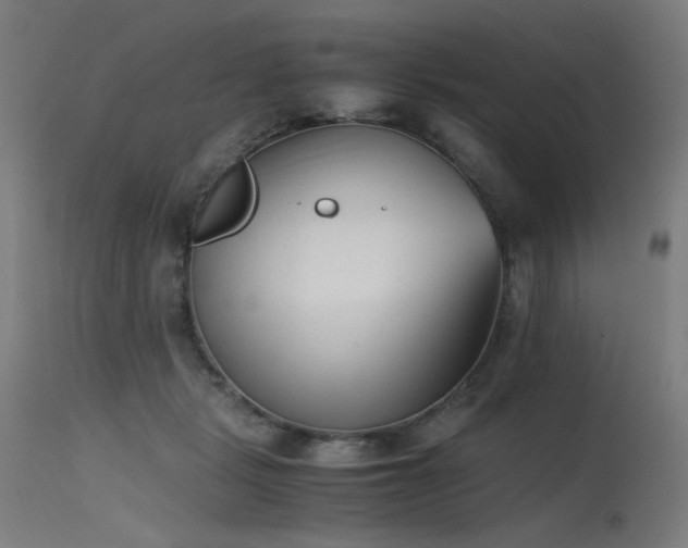 X0000115640461200911101520