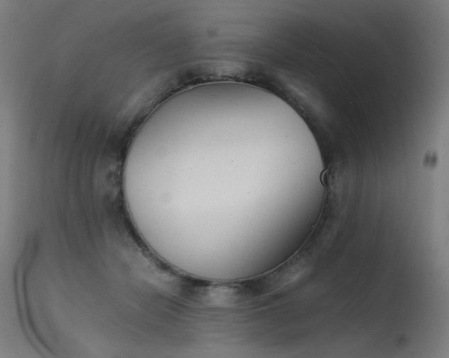 X0000115640462200911101520