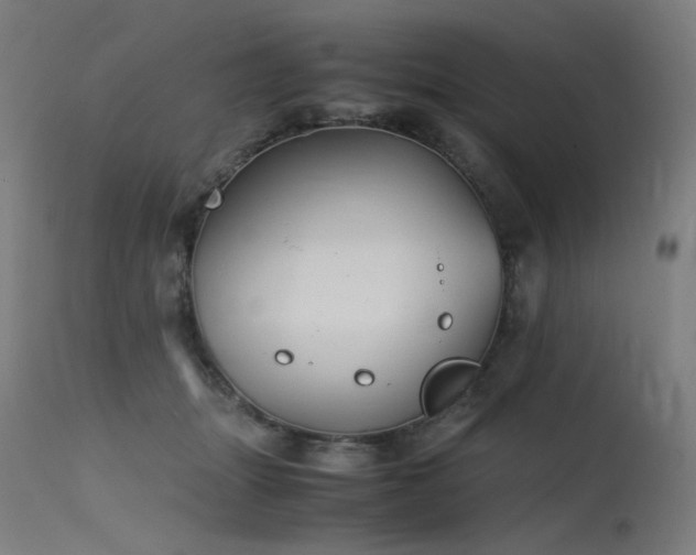 X0000115640463200911101520