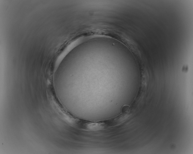 X0000115640465200911101520