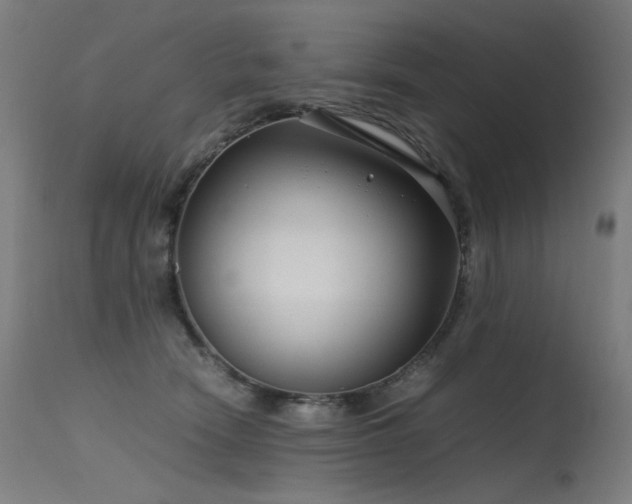 X0000115640466200911101520