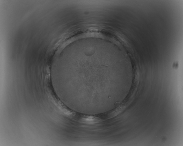 X0000115640467200911101520